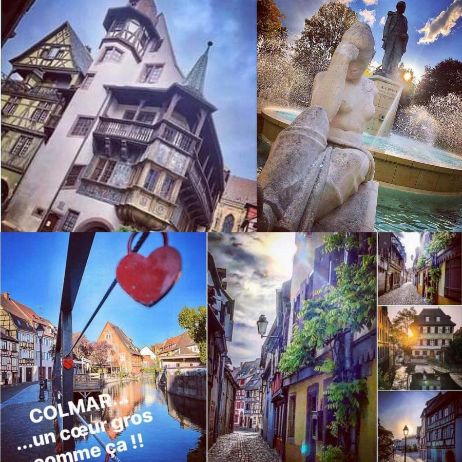 Le 1 " Gites Tout Confort A Colmar Centre" Dış mekan fotoğraf